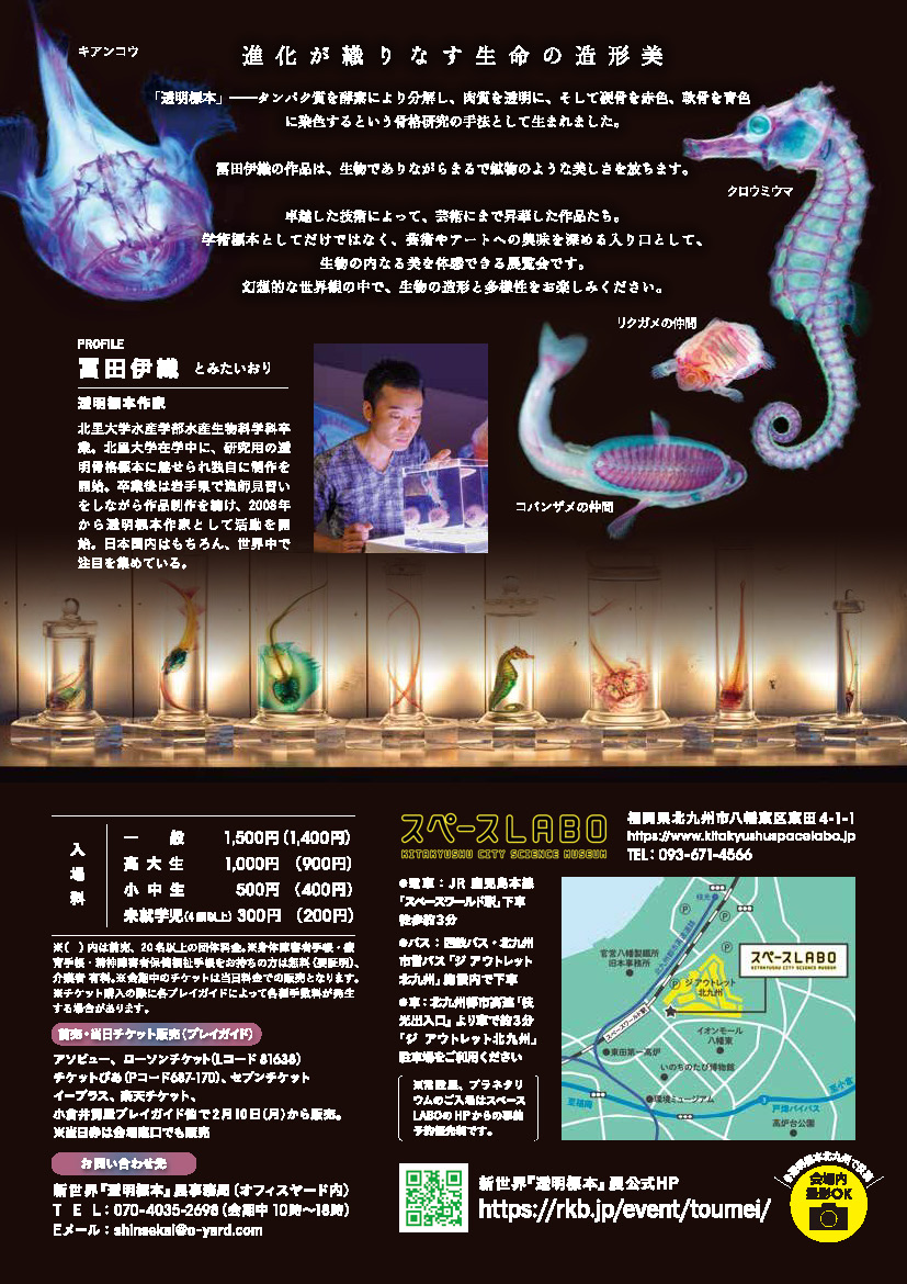チラシ裏