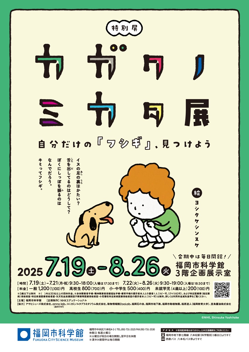 チラシ表