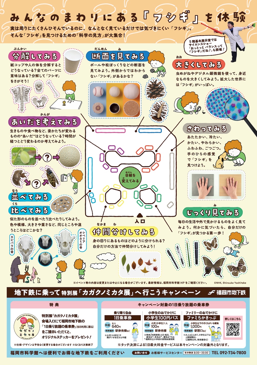 チラシ裏