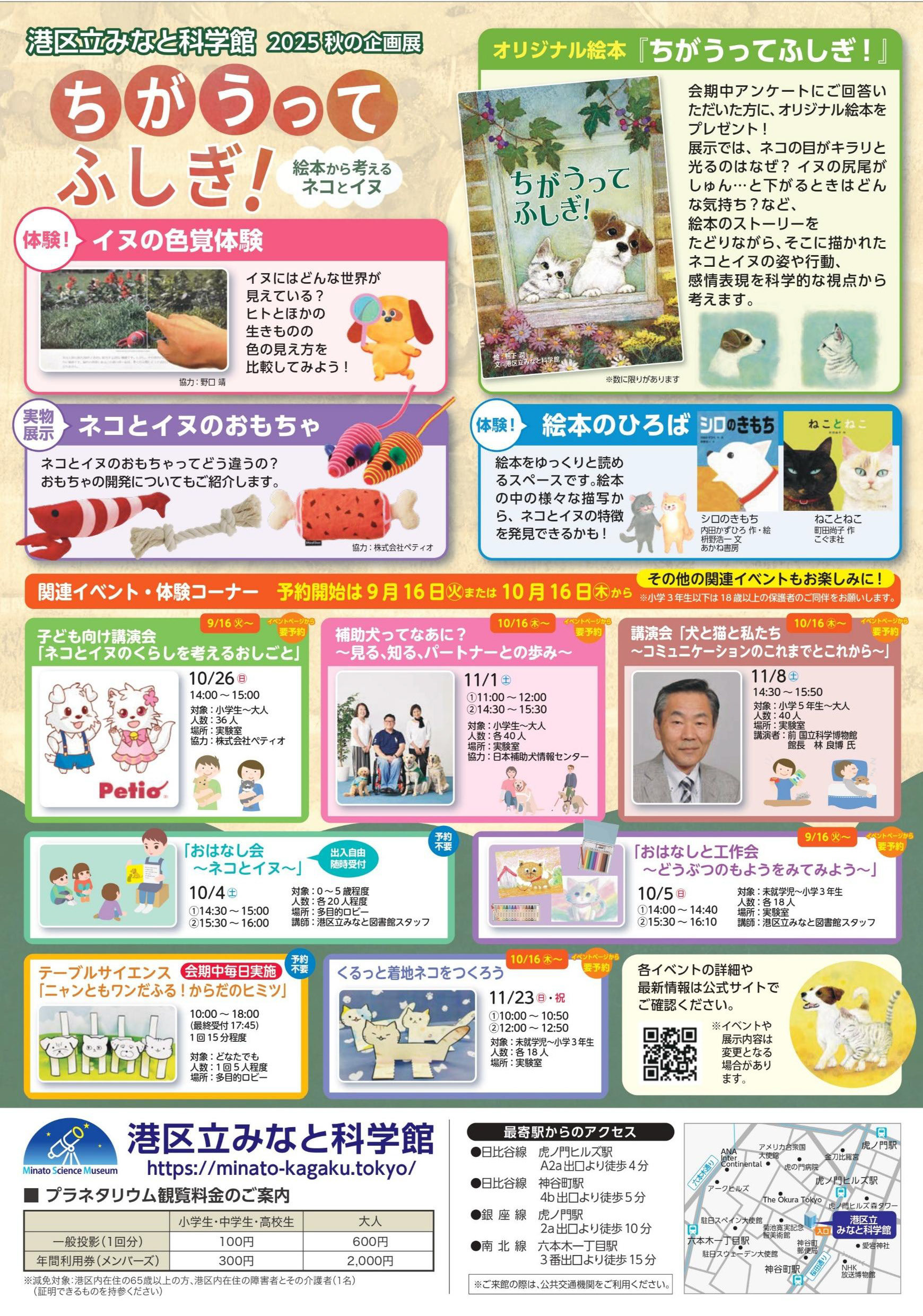 チラシ裏