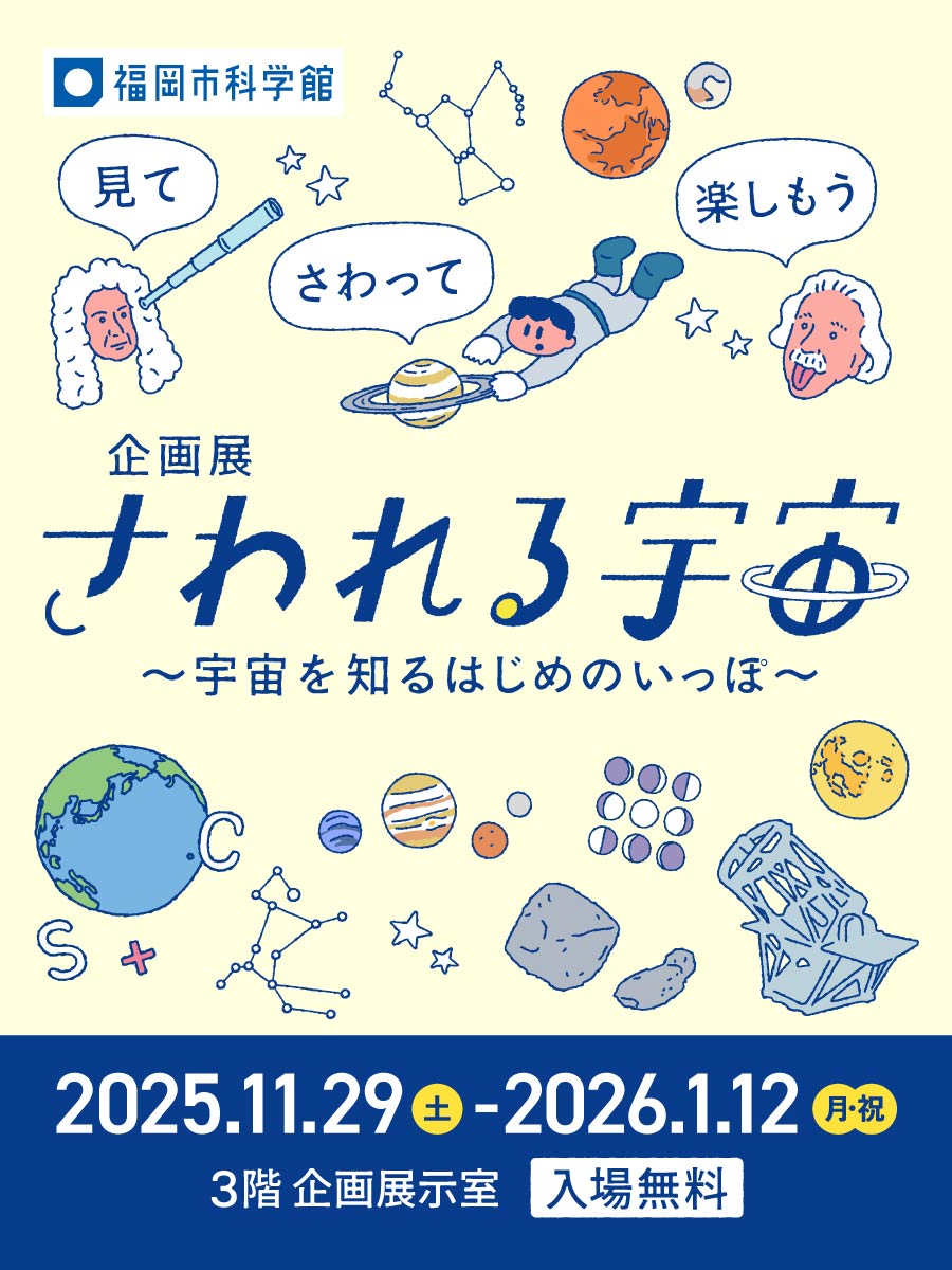 チラシ表