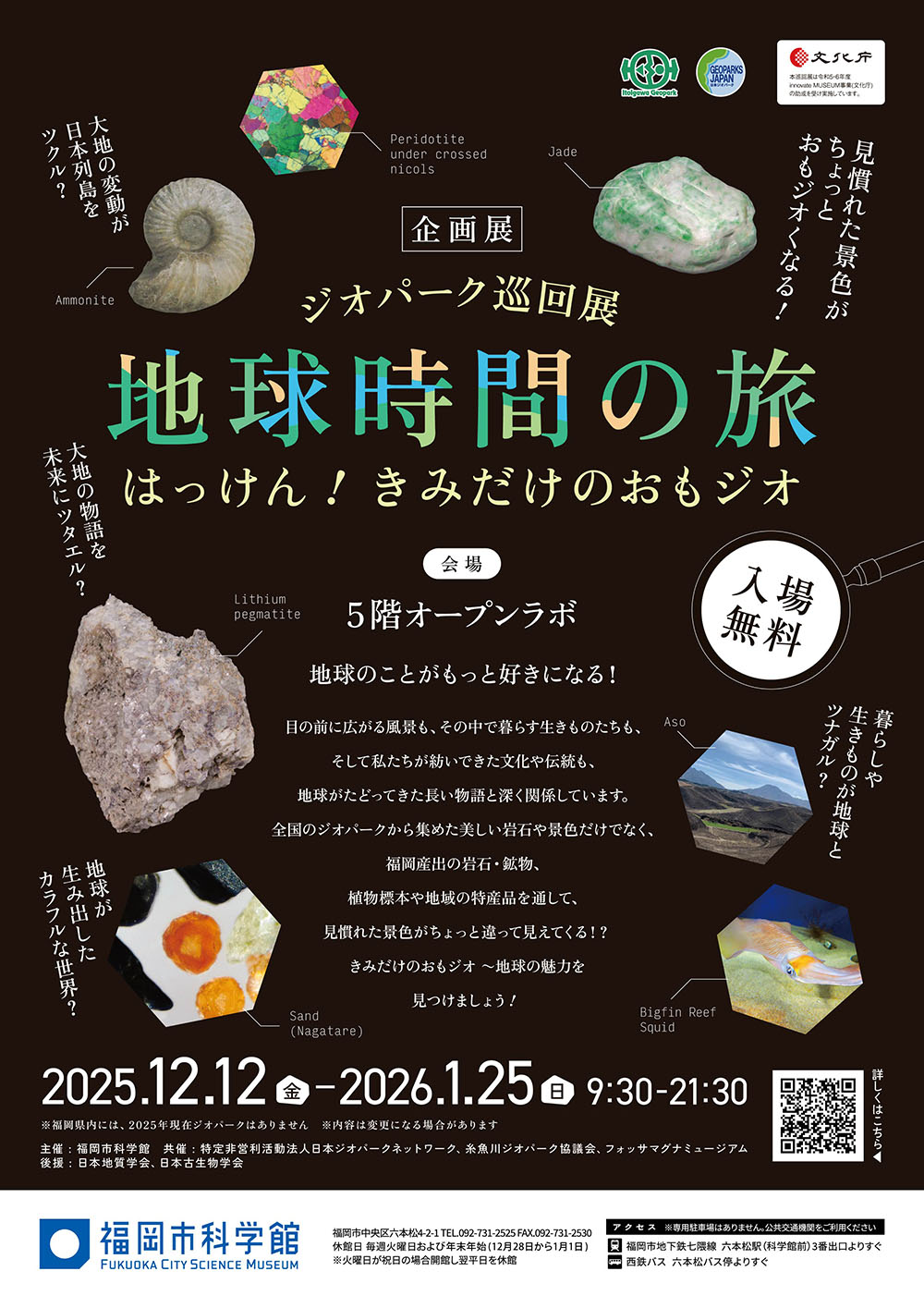 チラシ表