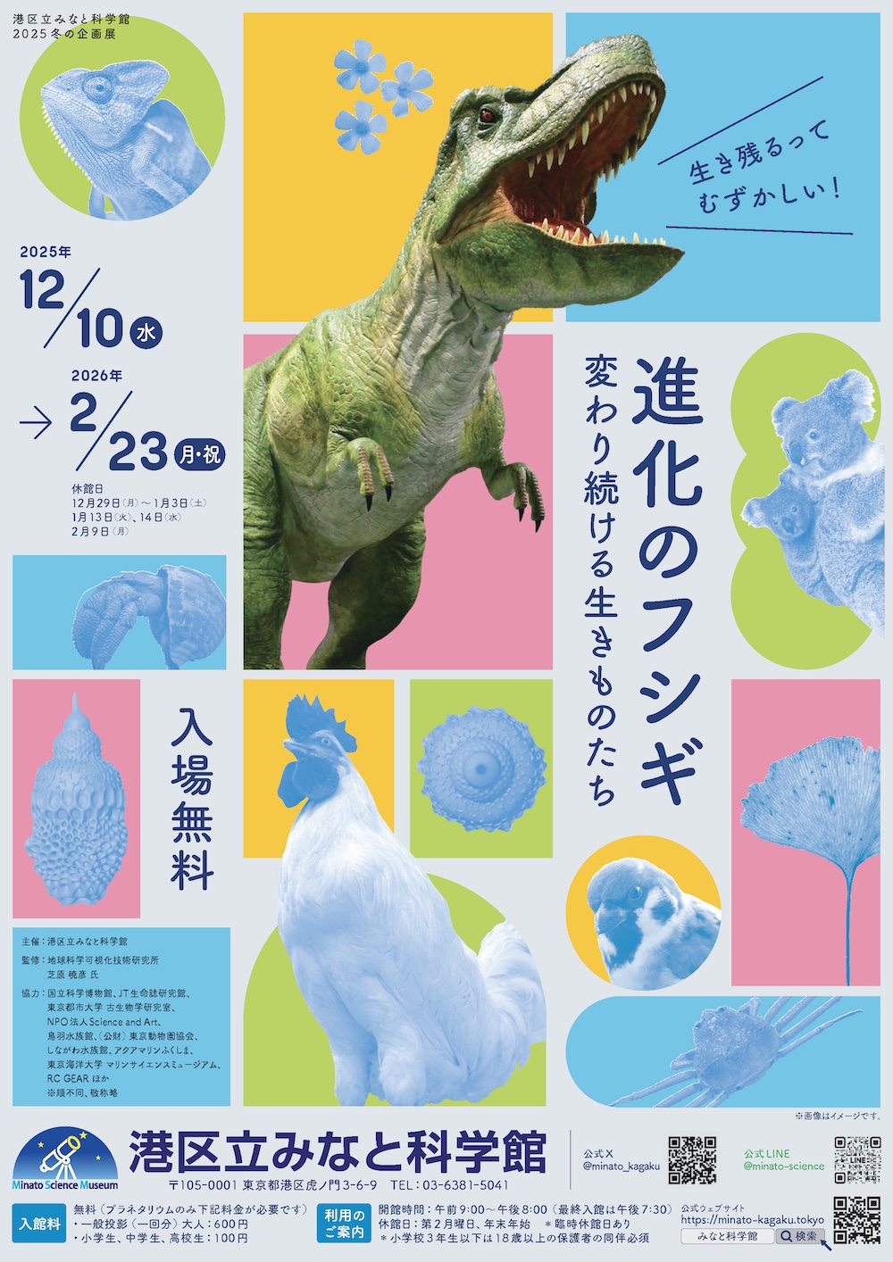 チラシ表