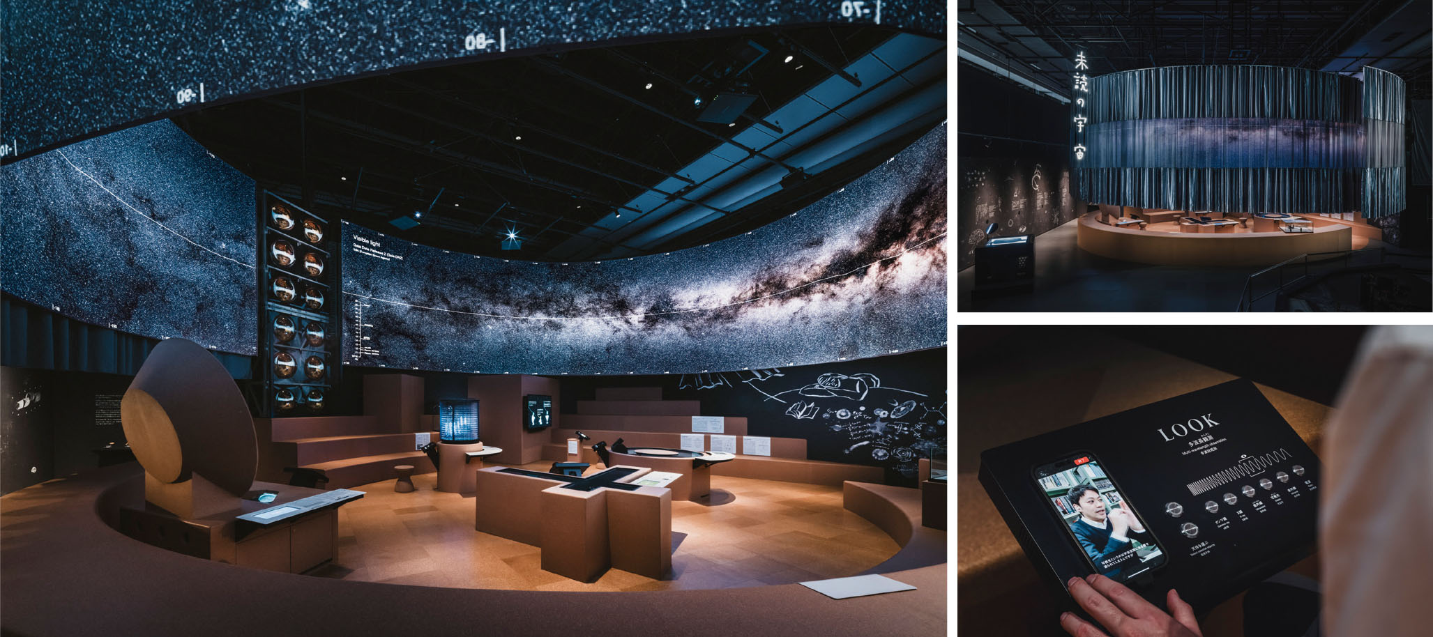 展示の様子